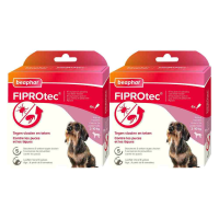2X Beaphar Fiprotec Anti Teken  en Vlooiendruppels Hond 2   10 kg 4 stuks