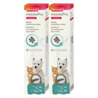 2X Beaphar IntestoPro Pasta Kat   Hond tot 15 kg 20 ml