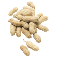 Doppinda's Buitenvogels 10 kg