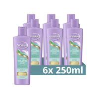 6X Andrélon Shampoo Volume Boost 250 ml