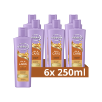 6X Andrélon Shampoo Oil & Care 250 ml