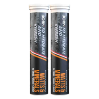 2X Born Bruistablet Watts & Minerals Orange 80 gr