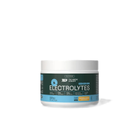 2X The Green Athlete Elektrolytes Orange & Lemon 320 gr