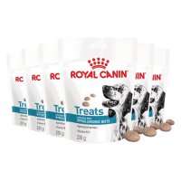 6X Royal Canin Hondensnack Hypoallergenic Treats 230 gr