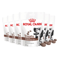 6X Royal Canin Hondensnack Gastrointestinal Treats 230 gr