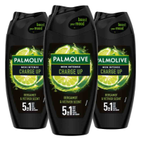 3X Palmolive Men Intense Douchegel 5in1 Charge Up 250 ml