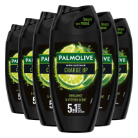 6X Palmolive Men Intense Douchegel 5in1 Charge Up 250 ml