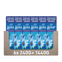 6X Lenor In Wash Geurbooster Zeebries 19 wasbeurten 240 gr