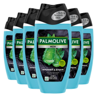 6X Palmolive Men 4in1 Shower & Shave 250 ml
