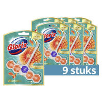 9X Glorix Toiletblok Aroma & Fresh Hahlia Flower