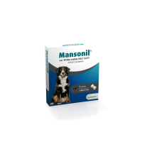 Mansonil All Worm Large Dog Tasty Bone Hond 2 stuks