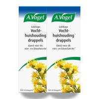 2X A.Vogel Solidago Vochthuishouding Druppels 100 ml