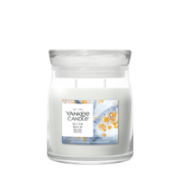 2E halve prijs: Yankee Candle Silver Birch Medium Jar Grijs