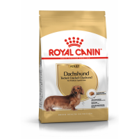 6X Royal Canin Dachshund Adult Hondenvoer 1,5 kg
