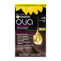 6X Garnier Olia Permanente Crèmekleuring 4.15 Kastanje Middenbruin