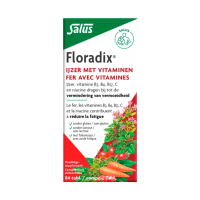 Floradix IJzer 84 tabletten