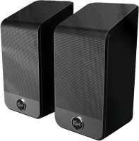 Klipsch Flexus SURR 200