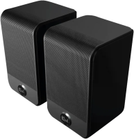 Klipsch Flexus SURR100
