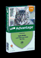 Advantage 40 kat 4 pipetten < 4 kg
