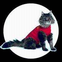 Medical pet shirt Medical pet shirt kat XXXS (29 37 cm)