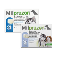 Milprazon Kleine Hond   2 tabletten