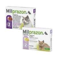 Milprazon Grote Kat   2 tabletten