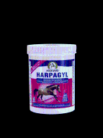 Harpagyl Audevard   450 gram