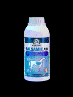Audevard Balsamic Air 500 ml