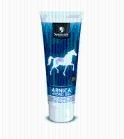 Synovium Arnica Hydro gel