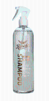 Rapide Rapide Spray Shampoo