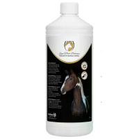 Excellent Excellent Equi Total Balance