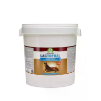 Audevard 14 KG