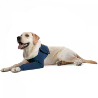 Medical pet shirt 2XS