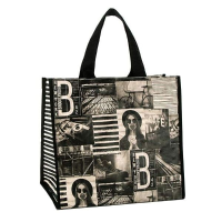 Shopper Beatnik
