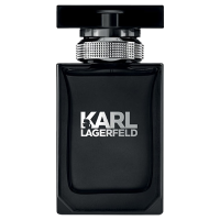 Karl Lagerfeld pour homme eau de toilette spray 100 ml