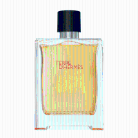 Terre d'Hermes eau de toilette spray 100 ml