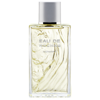 Eau de Rochas Homme eau de toilette spray 100 ml