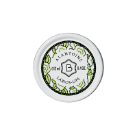 Alantoíne lipbalm 12 ml