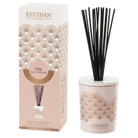 Esteban Classic Iris Cachemire Geurstokjes Deco 100 ml