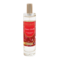 Esteban Blackcurrant Cherry Roomspray 50 ml