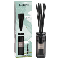 Esteban Classic Pur Lin Geurstokjes Initial 100 ml