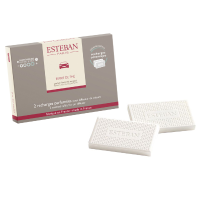 Esteban Classic Esprit de Thé Autoparfum navulling (2 stuks)