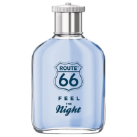 Feel the Night eau de toilette spray 100 ml