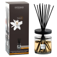 Esteban Classic Néroli Geurstokjes Ellipse 500 ml