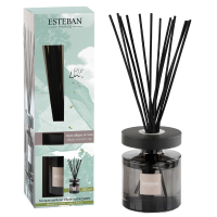 Esteban Classic Pur Lin Geurstokjes Ellipse 200 ml
