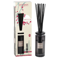 Esteban Classic Esprit de Thé Geurstokjes Initial 100 ml