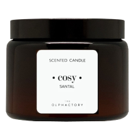 The Olphactory   Geurkaars Cosy Santal 360 gr