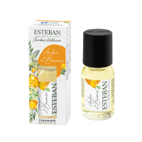 Esteban Jardins d'Intérieur Ambre & Baumes Geurolie 15 ml