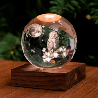 Amber Crystal Light 3D Laser The Owl Moon