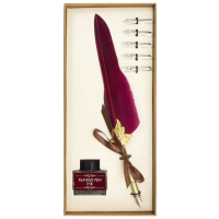 Kalligrafie set met bordeaux rode verenpen